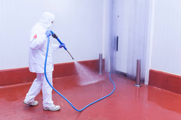 Reliable Grayson, KY  Pressure Washing Services Solutions